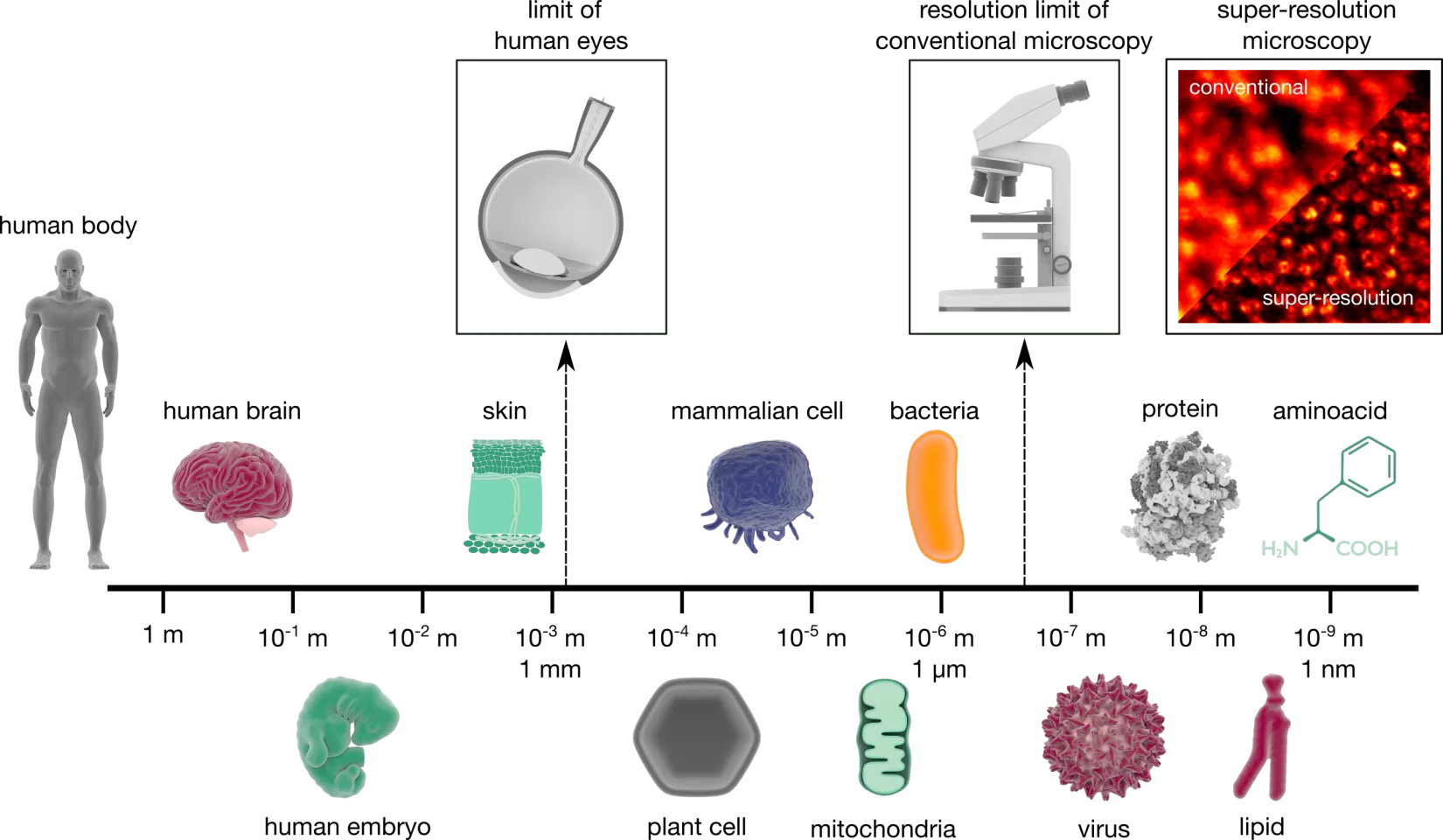 Miten nanoteknologia toimii